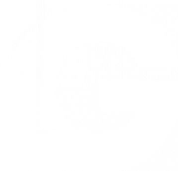 lg_logo_transparent